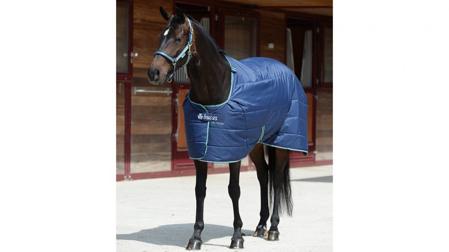 Best stable rugs for keeping your horse warm this winter Horse & Hound