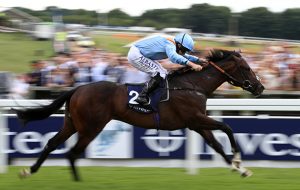 De Bruyne Horse