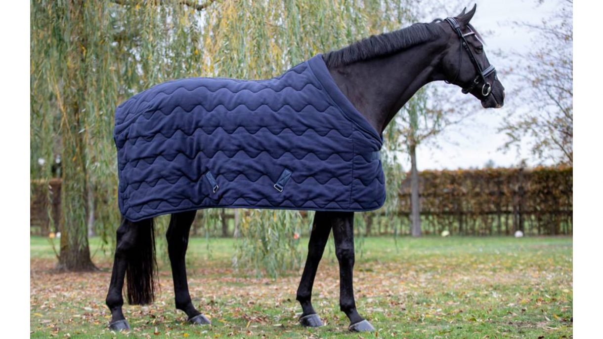 Best stable rugs for keeping your horse warm this winter Horse & Hound