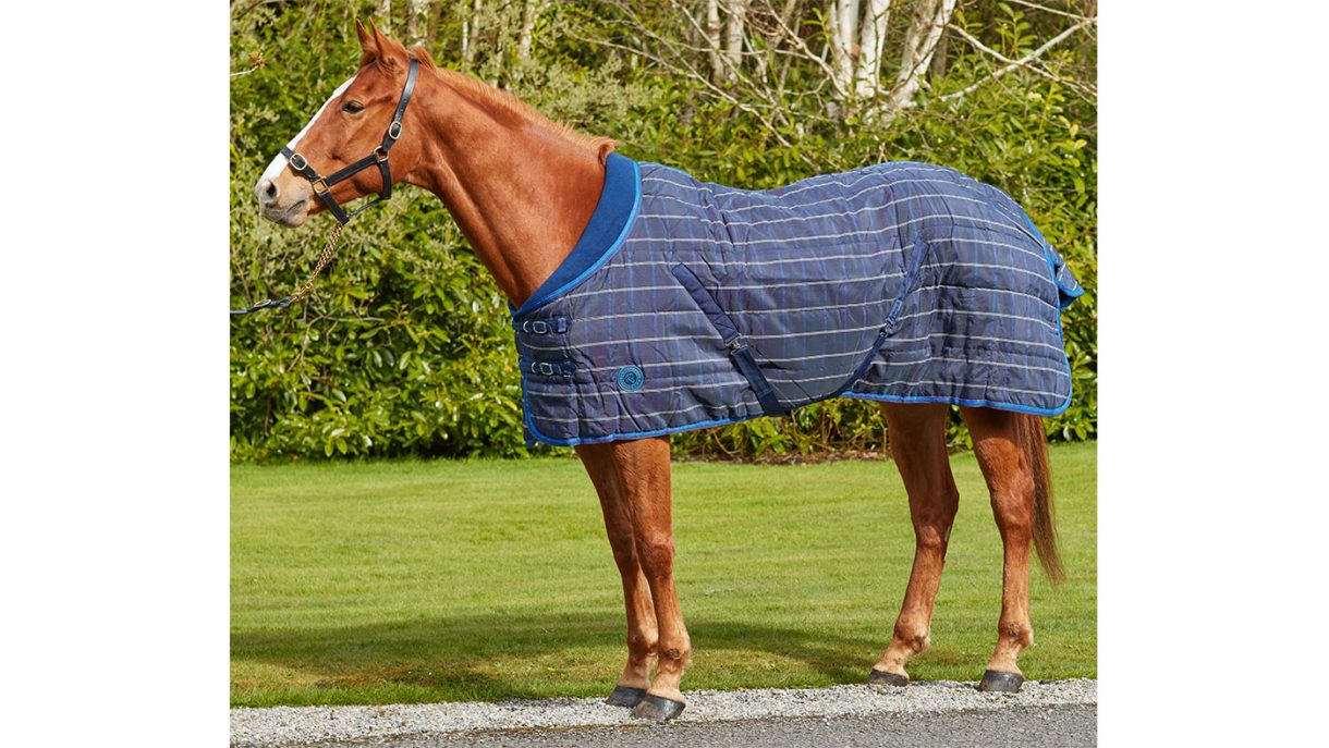Best stable rugs for keeping your horse warm this winter Horse & Hound