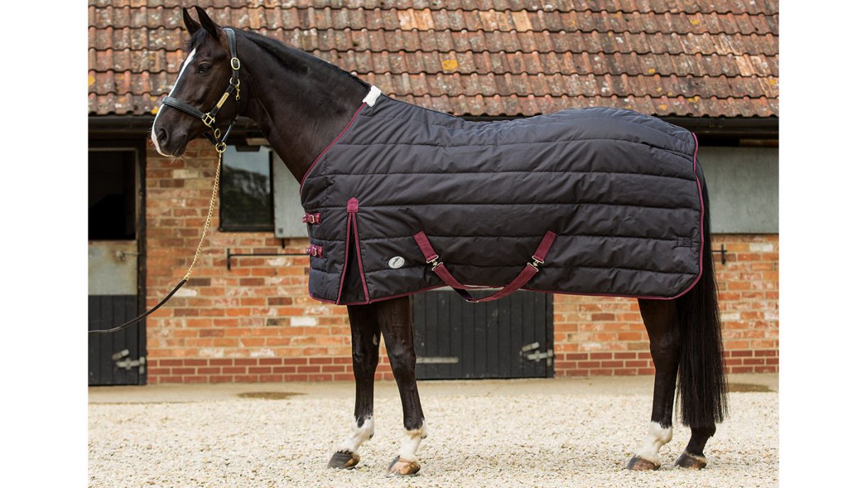 Best stable rugs for keeping your horse warm this winter Horse & Hound