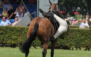 Lincs. County Show 21/22.06.17 Open W/Hunter class No.185 Miss H Harling Managed to get back into the saddle and complete thrills and spills fall falling