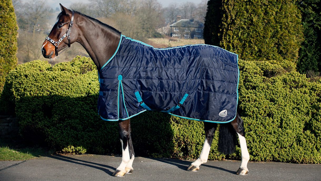 Best stable rugs for keeping your horse warm this winter Horse & Hound