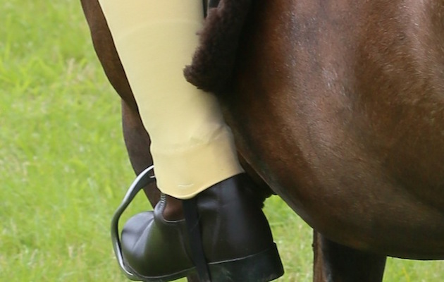 Open M&M Small Breeds Championship