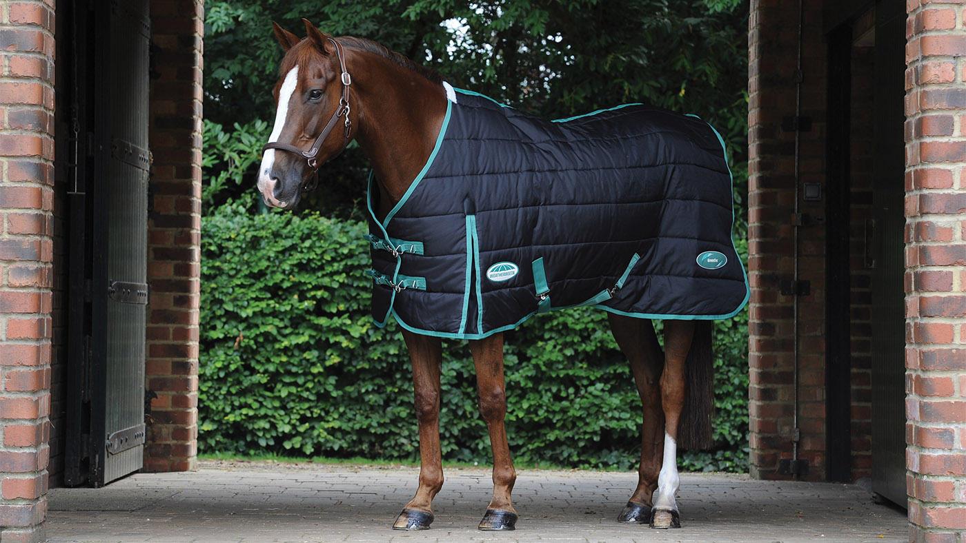 Masta Quiltmasta Heavyweight Standard Neck Stable Rug 6'9" mrrp£69