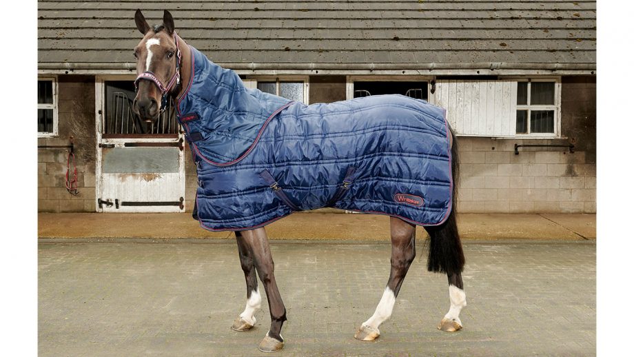 Best stable rugs for keeping your horse warm this winter Horse & Hound