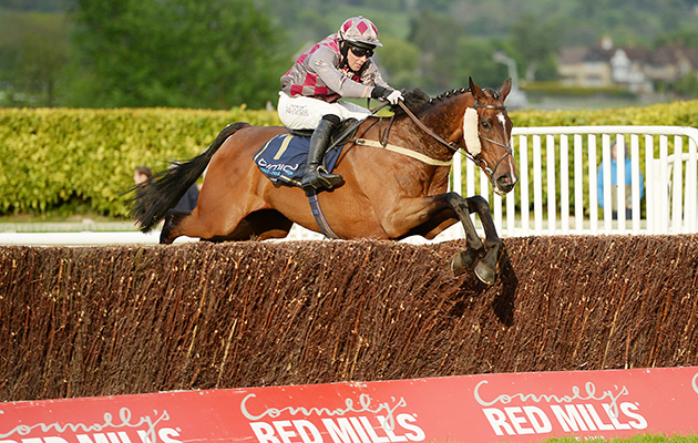 barel of laughs 1st seen here jumping the last at cheltenham 5-5-17