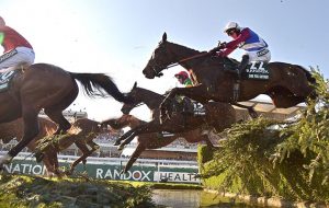 Grand National sweepstake