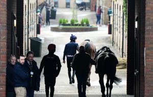 CHELTENHAM, UNITED KINGDOM - MARCH 15: Horses and jockeys make their way back to the stables during Ladies Day of the Cheltenham Festival at Cheltenham Racecourse on March 15, 2017 in Cheltenham, England. (Photo by Harry Trump/Getty Images)