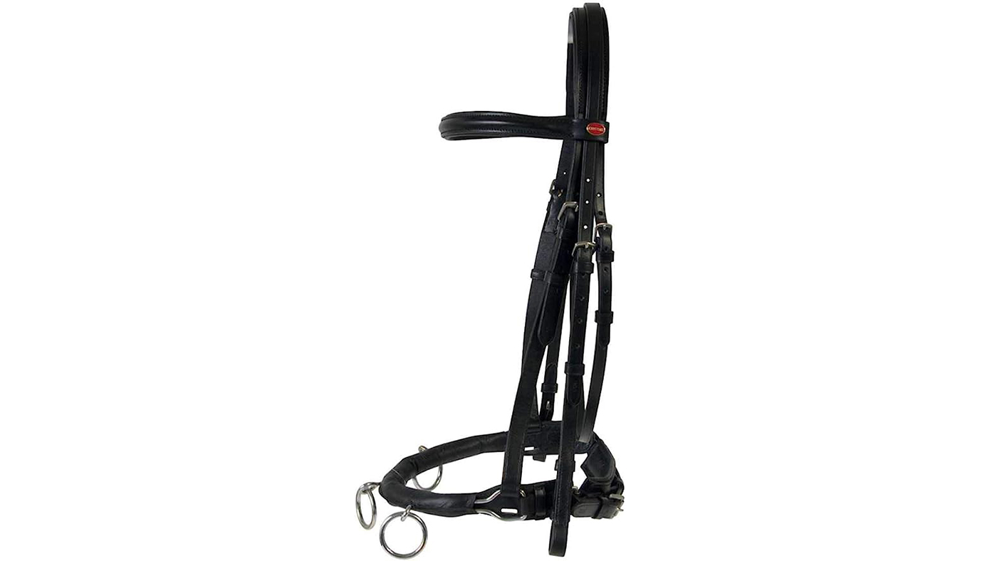 Leather Lunging Cavesson Bridle