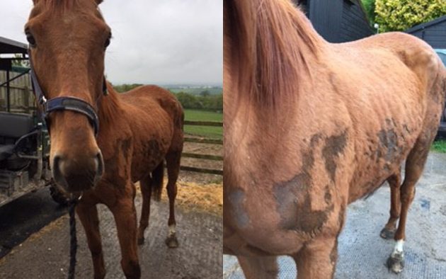 Pic-1-and-2-Poor-Condition