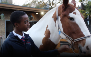 Ebony Horse Club video