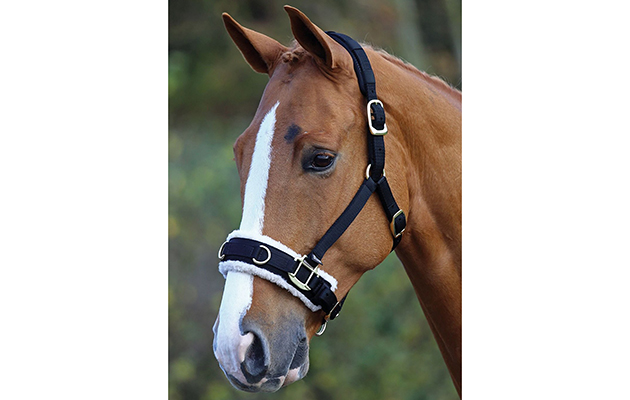 horse rein lung longe Lunging girth longing gear black soft lunge approx 8m horse lunging towline horse rein lung longe Lunging girth longing gear black soft lunge approx 8m horse lunging towline