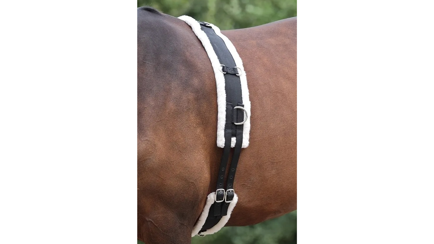 Shires Roller lunging equipment