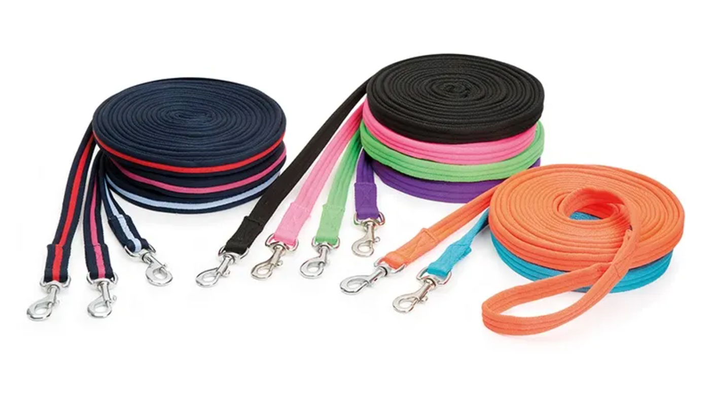Shires Wessex Cushioned Web Lunge Line