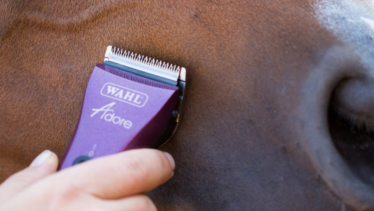 Best horse clippers mains and batterypowered Horse & Hound
