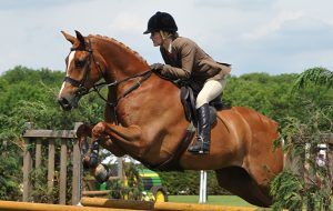 Lincs. Show 24.06.15 W/H Class No. 218 LAURAS PRIDE - VICTORIA LEAVESLEY