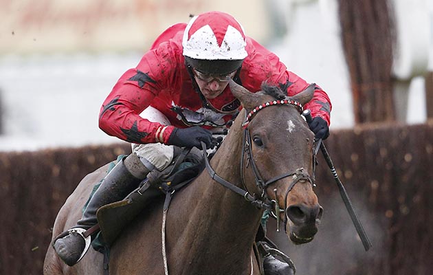 grand national weights