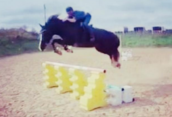 welsh section d for sale