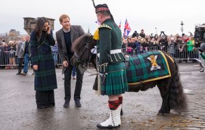 prince harry shetland