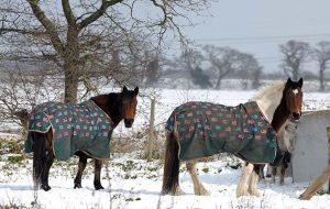 snow