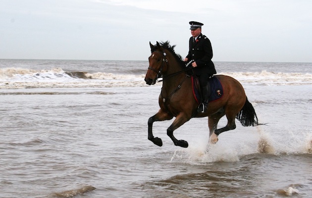 police horse Caton