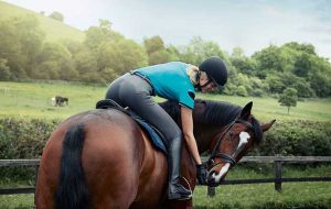 Dublin Ascent Prime Gel full seat breeches