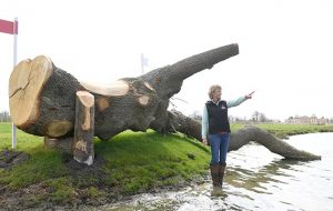 Mary King at Badminton Horse Trials