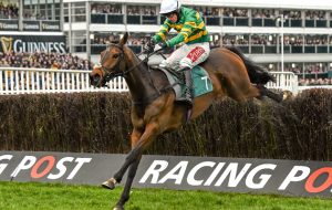 Cheltenham Festival preview 15 March 2016; Minella Rocco, with Derek O'Connor up, on their way to winning the 146th Year of the National Hunt Steeple Chase Challenge Cup. Prestbury Park, Cheltenham, Gloucestershire, England. Picture credit: Seb Daly / SPORTSFILE (Photo by Sportsfile/Corbis via Getty Images)