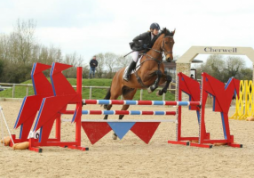 horses for sale gloucestershire