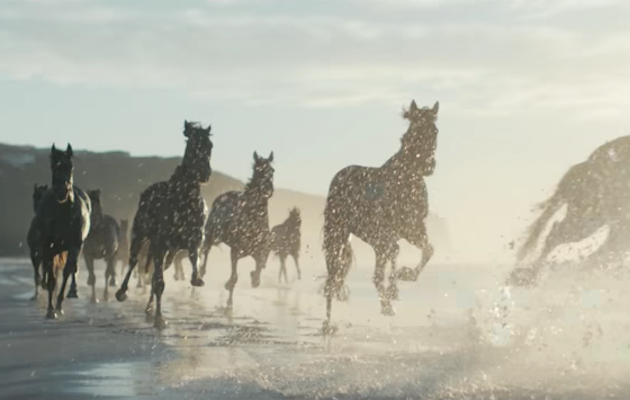 Lloyds Bank advert horses