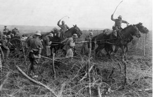 war horse campaign