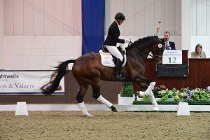 Brightwells elite dressage auction results