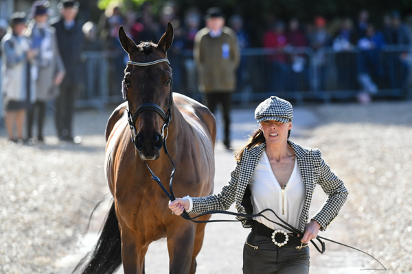 Badminton Horse Trials fashion