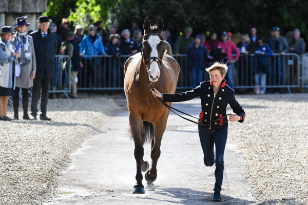 Badminton Horse Trials fashion