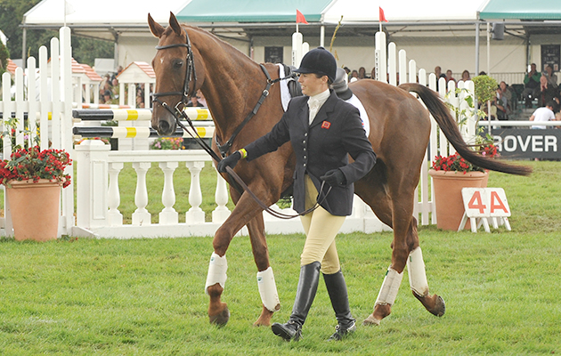 jeanette brakewell, over to you , horse retiring 2008