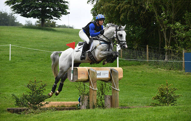 Bizarre bridle PSH Promise Me Bramham