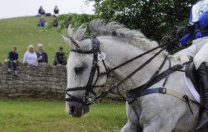 Bizarre bridle PSH Promise Me