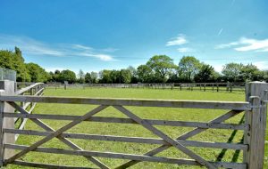 Choosing fencing for a horse paddock