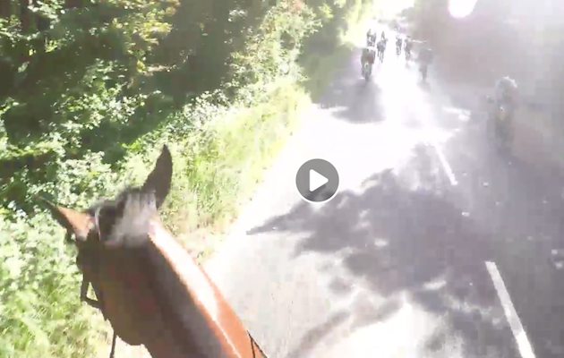 windsor triathlon cyclist horse