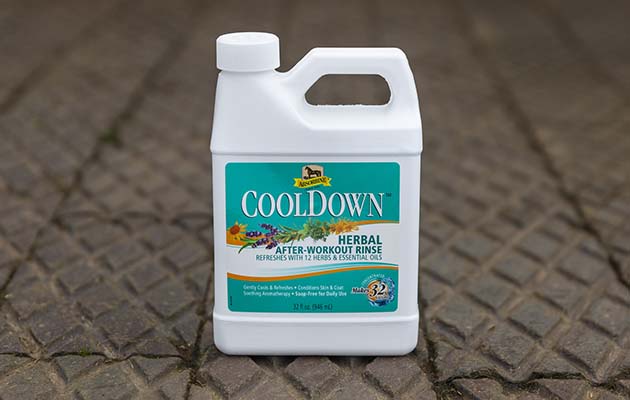 Absorbine Cooldown herbal after-workout rinse review
