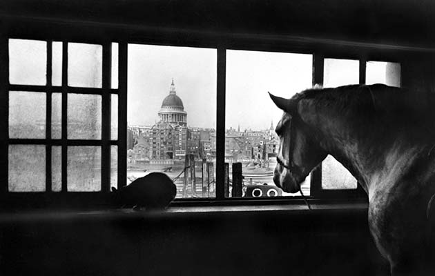 Mandatory Credit: Photo by Museum of London/REX/Shutterstock (8444395a) Multi-storey horse stables near Southwark bridge with a view of St Paul's Cathedral, London. Photograph c. 1920s-1930s Art (Topography - London) - various Artist: REID, George Davison (1871-1933, English) Location: Museum of London