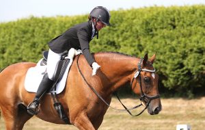 Festival of Dressage
