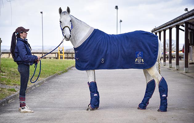 Equitheme travel boots review