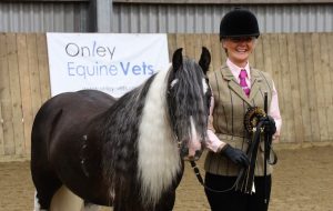 HorseWorld Ernie