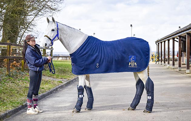 Eskadron Pro Traveller Travel Boots review