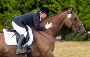 How to learn a dressage test – Festival of dressageAll photos by Benjamin Clark Photography