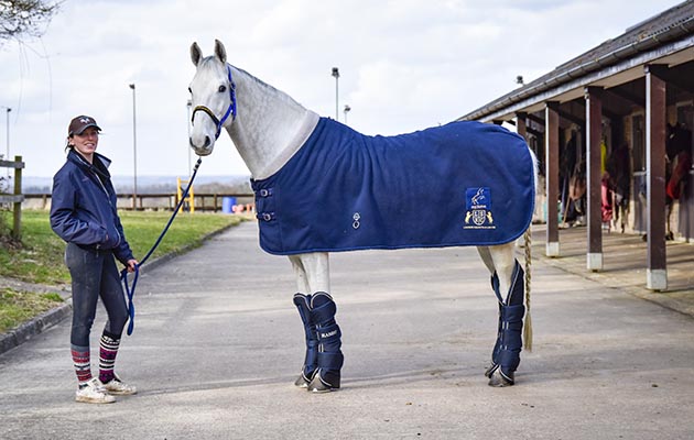 Rambo Travel Boots review