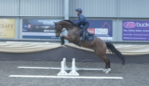 How to introduce a young horse to skinny cross-country fences