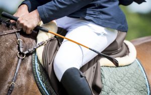eventing whip rules